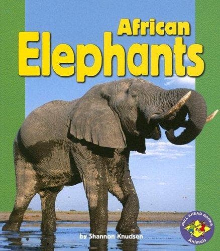 African Elephants