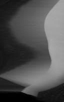 Emile Zola, Un homme à vendre