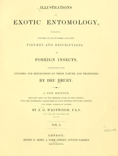 Illustrations of exotic entomology