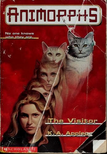 The Visitor