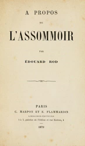 A propos de l'Assommoir