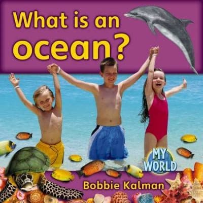 What Are Oceans? (Science of Living Things)