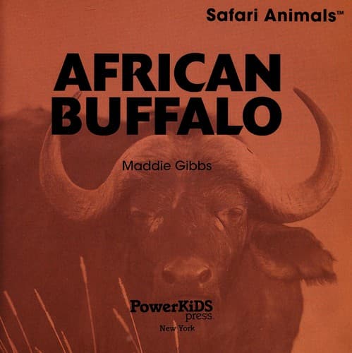 African buffalo