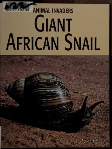 Giant African snail