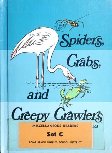 Spiders, crabs, and creepy crawlers